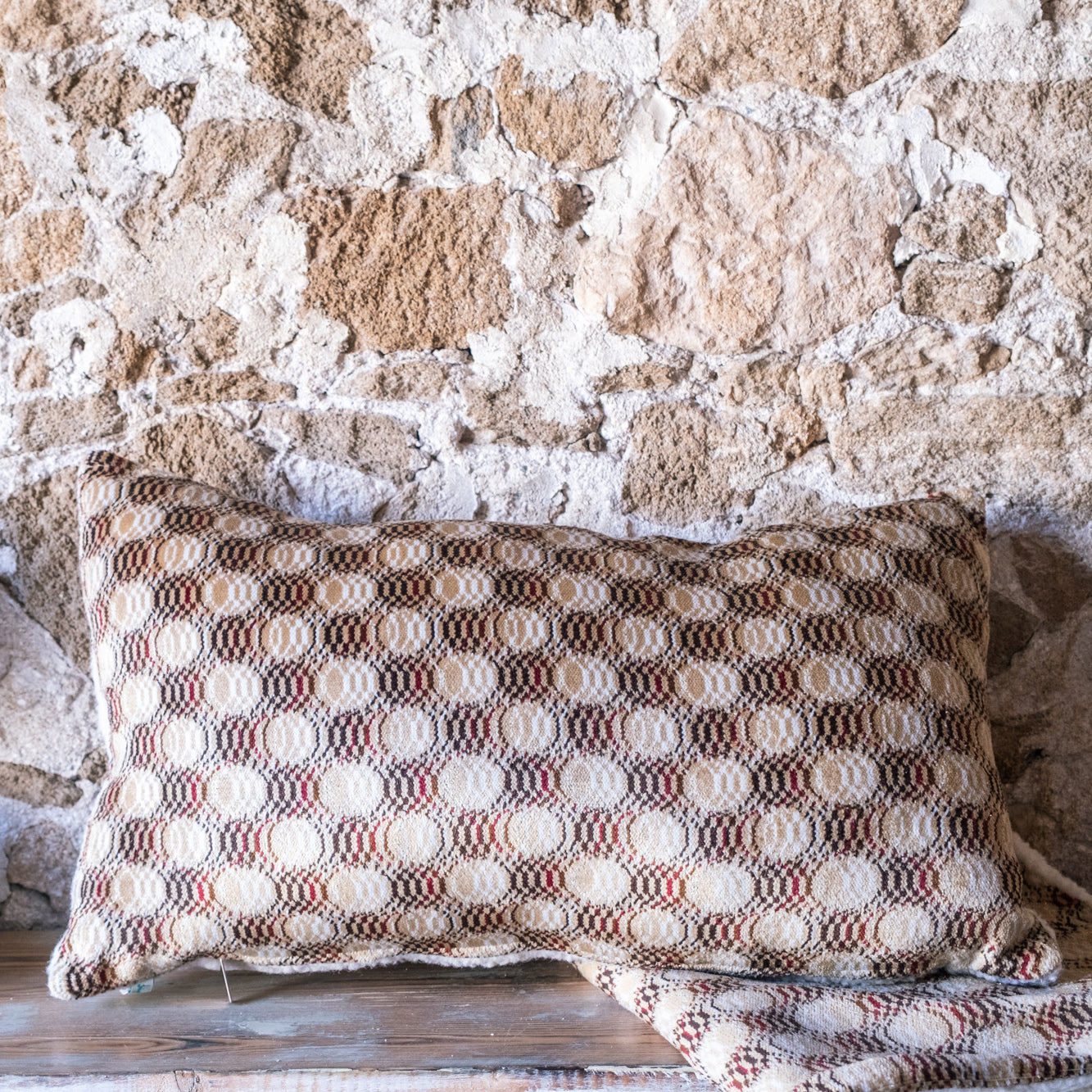 Set of 2 Reversible Velour & Fleece Lumbar Pillow Covers